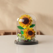 Girasol sin luz