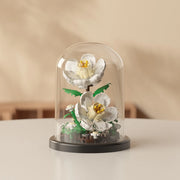 Gardenia sin luz