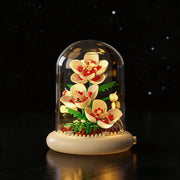 Flores eternas de bloques con cúpula